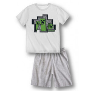 Minecraft komplekt